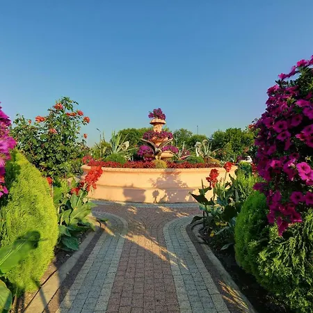 Mario 2* Зегрже